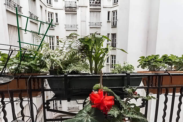 The area/environment