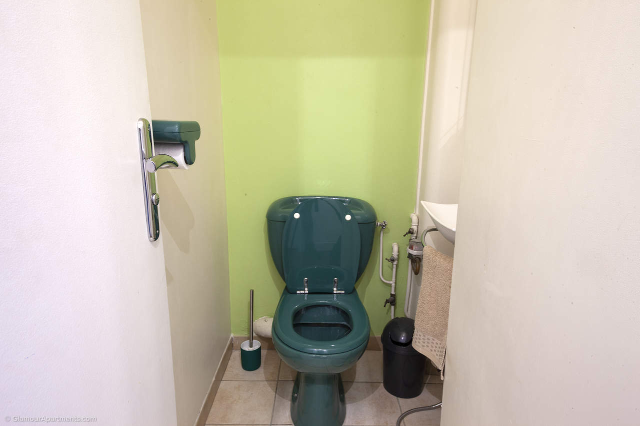 The toilet