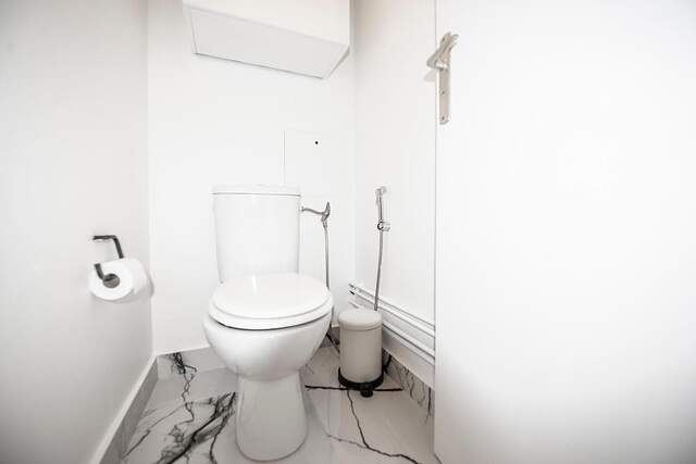 The toilet