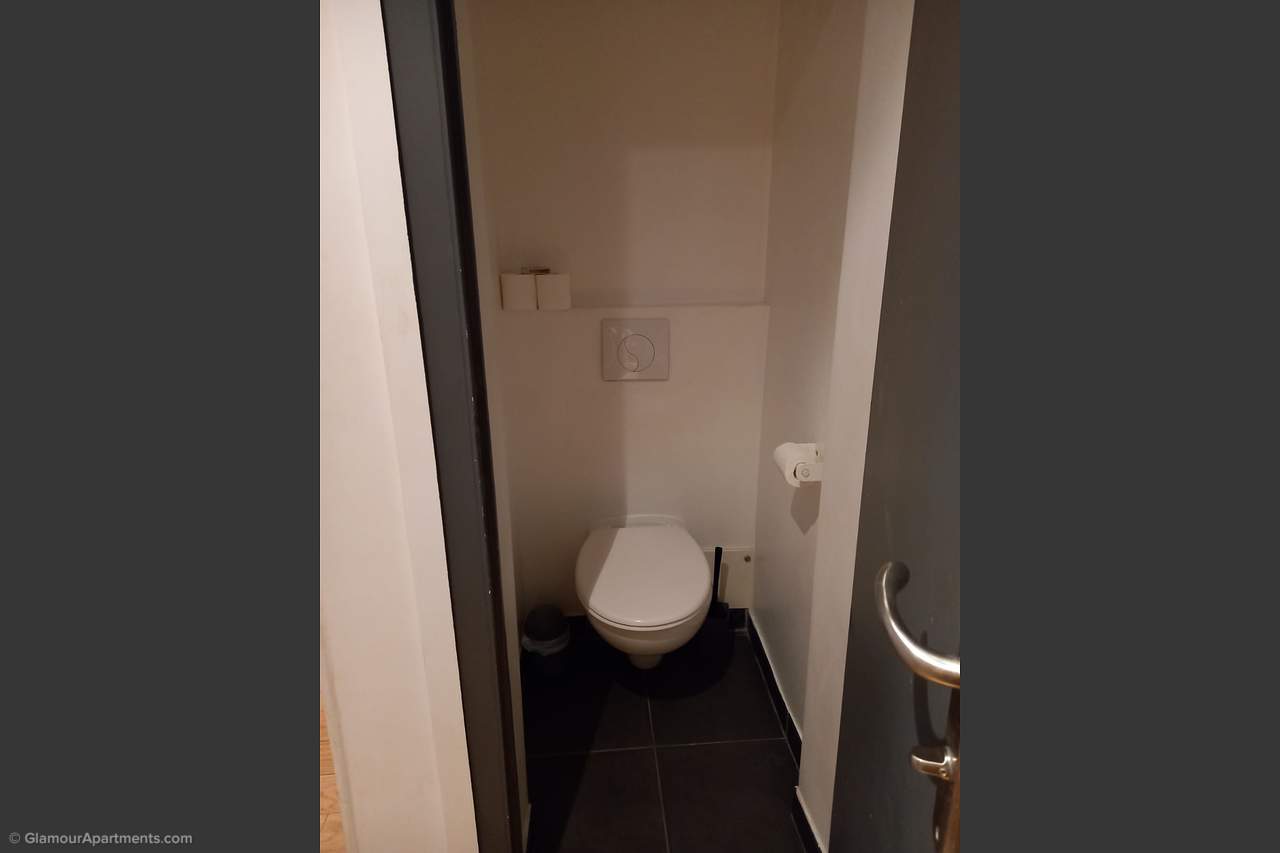 The toilet