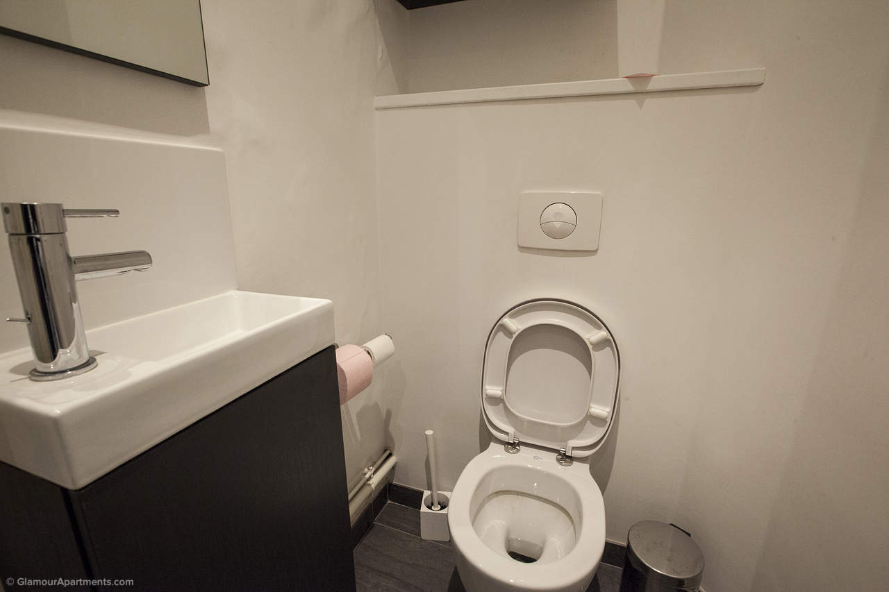 The toilet