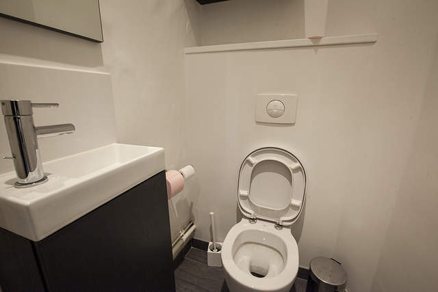 The toilet