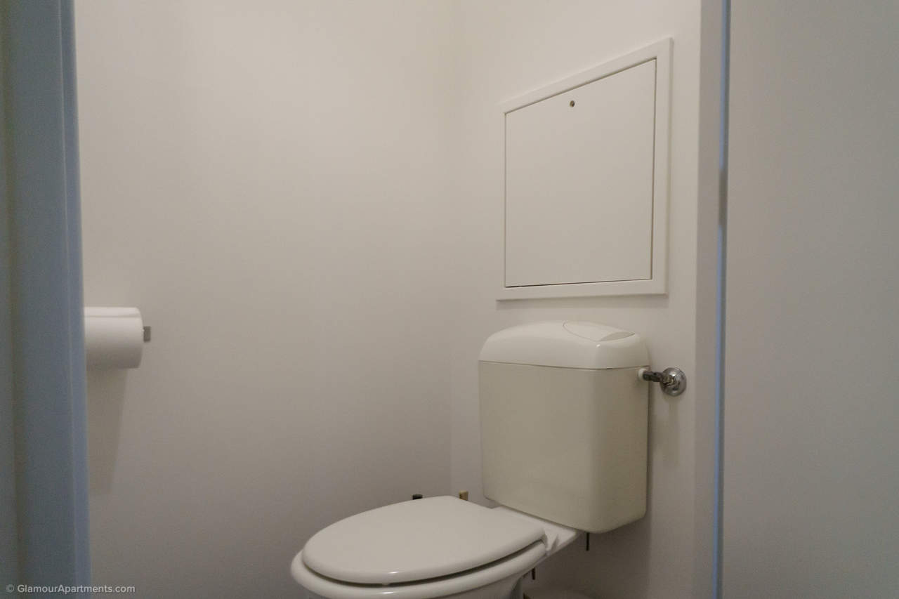 The toilet