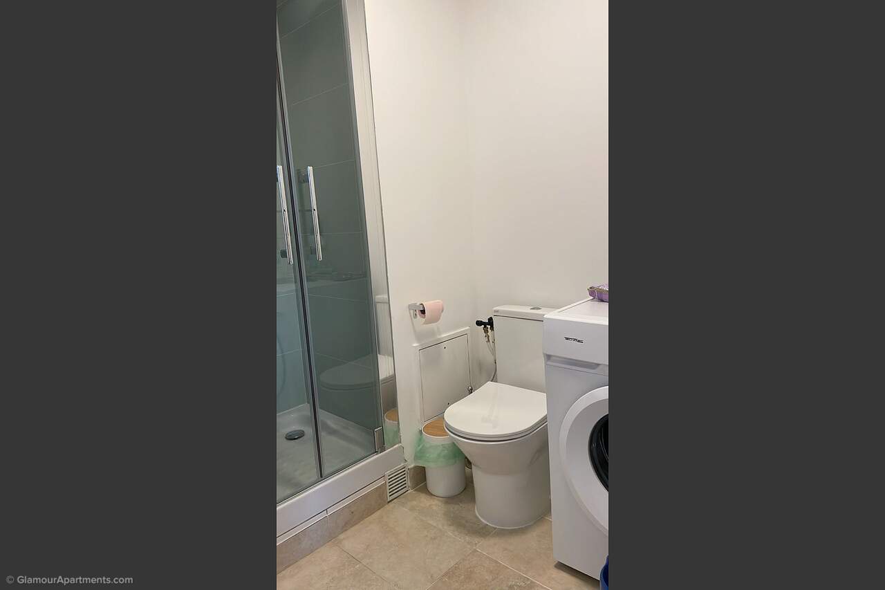 The toilet