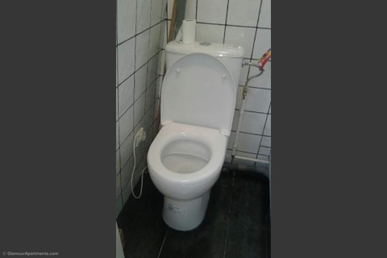 The toilet