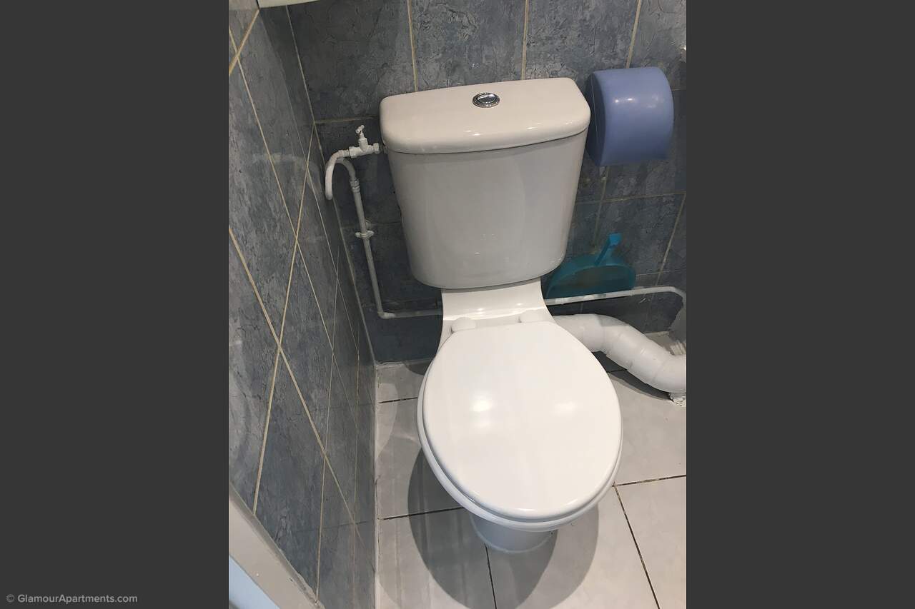 The toilet