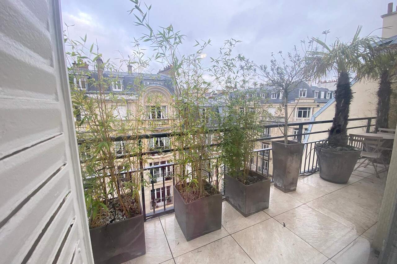 The terrace