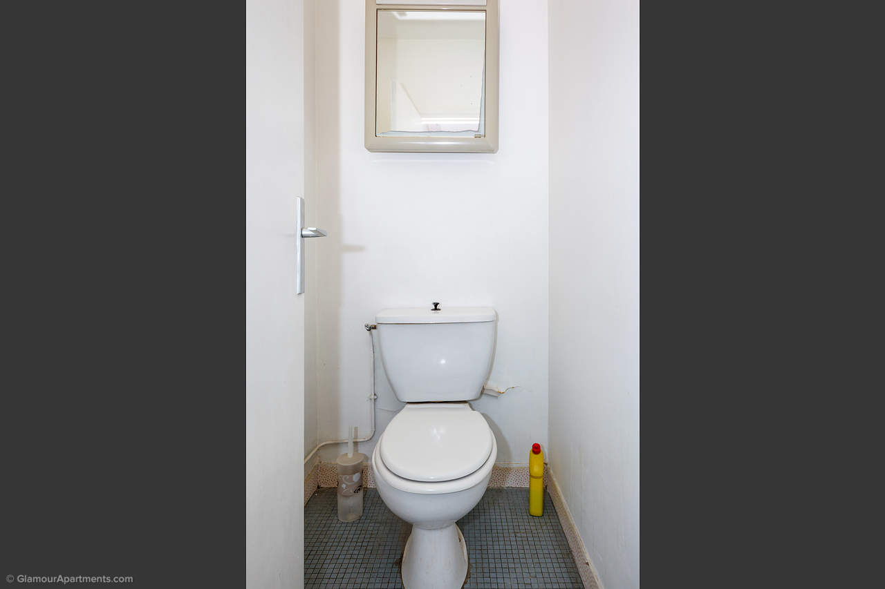 The toilet