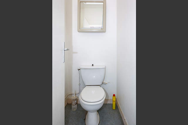 The toilet