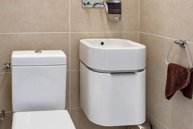 The toilet